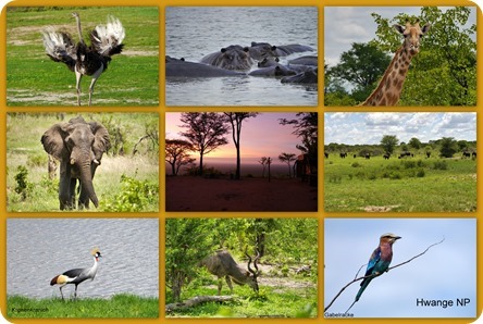 120_PANA2_thumb 120_PANA2_thumb