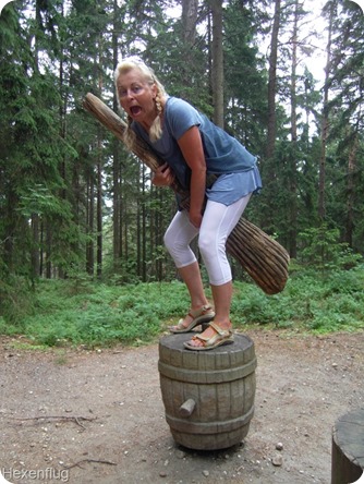 2013-06-25-001 Hexenflug 2013-06-25-001 Hexenflug