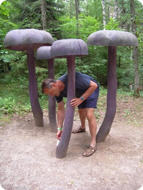 2013-06-27-004 Einer reicht