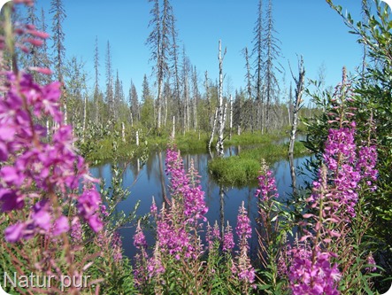 2013-07-26-008 2013-07-26-008