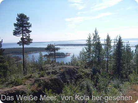 2013-07-29-001 2013-07-29-001