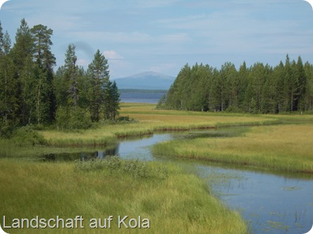 2013-07-30-003 2013-07-30-003