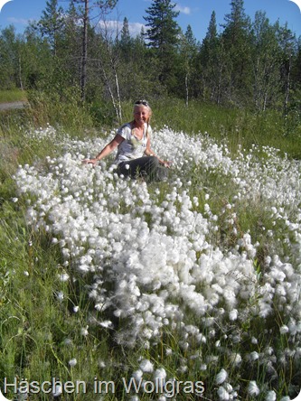 2013-07-31-003 2013-07-31-003