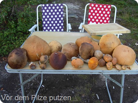 2013-08-01-011 2013-08-01-011