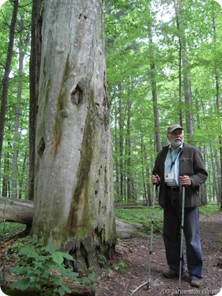 2013-19-06-003-Im-streng-geschuetzten-Nationalpark 2013-19-06-003-Im-streng-geschuetzten-Nationalpark