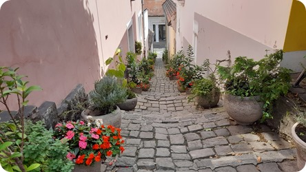 20250831_131018 20250831_131018