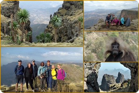 Addis Abeba 20172 Addis Abeba 20172