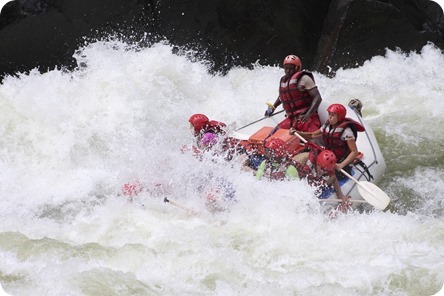 IMG_3755_thumb1 IMG_3755_thumb1