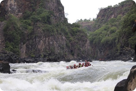 IMG_3922_thumb1 IMG_3922_thumb1