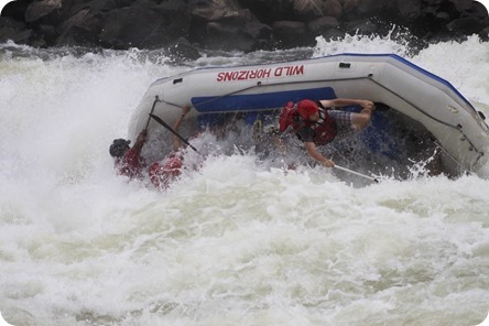 IMG_4097_thumb1 IMG_4097_thumb1