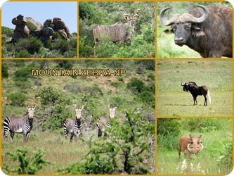 Kürzlich aktualisiert5