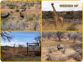 Neuer Ordner (2) Neuer Ordner (2)