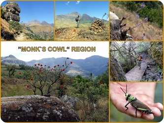 Neuer Ordner (3) Neuer Ordner (3)