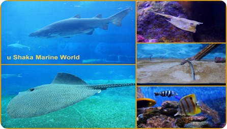 Neuer Ordner1 Neuer Ordner1