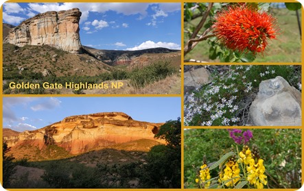 Neuer Ordner3 Neuer Ordner3