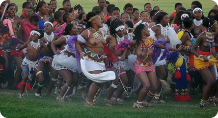 P1030278 (2) P1030278 (2)