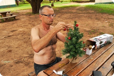 P1210226_thumb P1210226_thumb