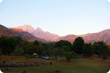 P1220425-001 P1220425-001