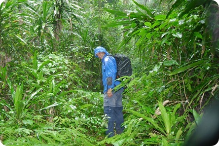 P1240613-001 P1240613-001