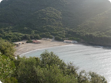 P1320576_thumb P1320576_thumb