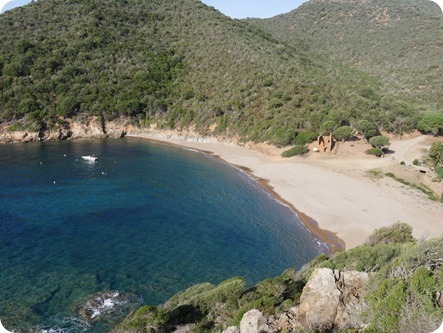 P1320578_thumb P1320578_thumb