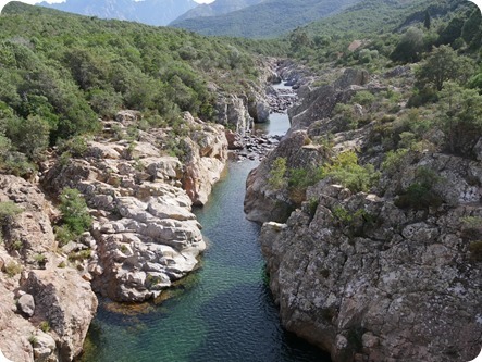 P1320581_thumb P1320581_thumb