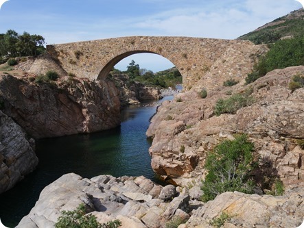 P1320582_thumb P1320582_thumb