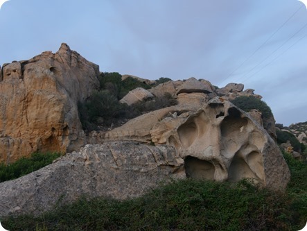 P1320591_thumb P1320591_thumb