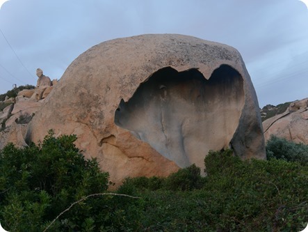 P1320592_thumb P1320592_thumb