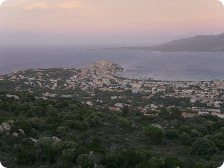 P1320593_thumb P1320593_thumb