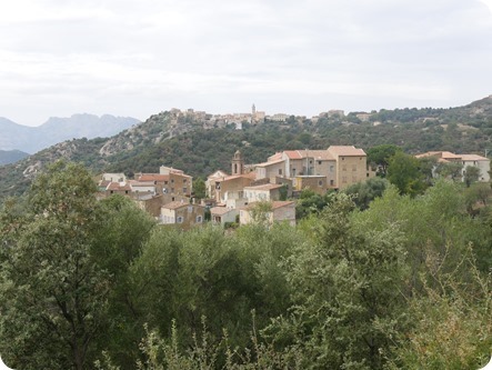 P1320638_thumb P1320638_thumb