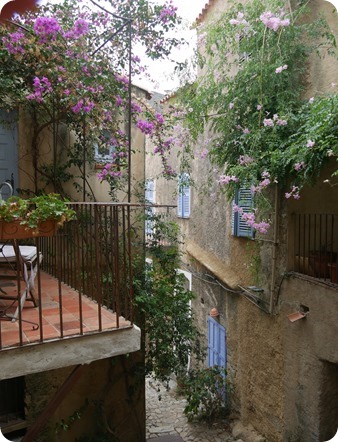 P1320654_thumb2 P1320654_thumb2