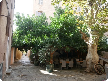 P1320663_thumb P1320663_thumb