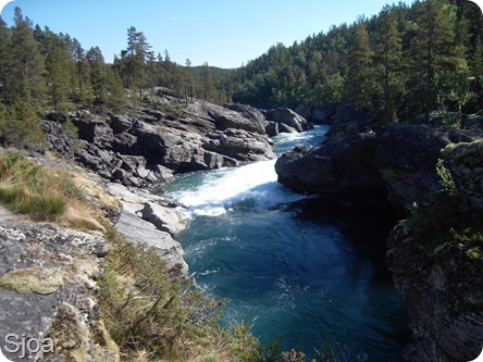 SDC10016 (4) SDC10016 (4)