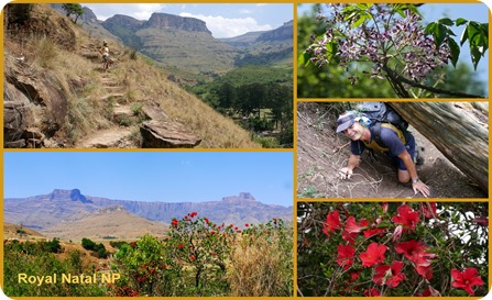 Süd Afrika 20181 Süd Afrika 20181