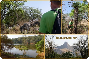 Süd Afrika 2019 sortierte Fotos-001 Süd Afrika 2019 sortierte Fotos-001