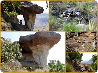 Süd Afrika 2019 sortierte Fotos5 Süd Afrika 2019 sortierte Fotos5