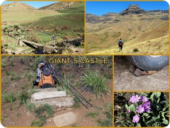 Süd Afrika 2019 sortierte Fotos6 Süd Afrika 2019 sortierte Fotos6