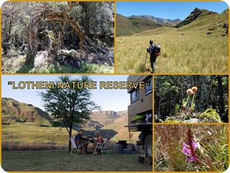 Süd Afrika 2019 sortierte Fotos7 Süd Afrika 2019 sortierte Fotos7