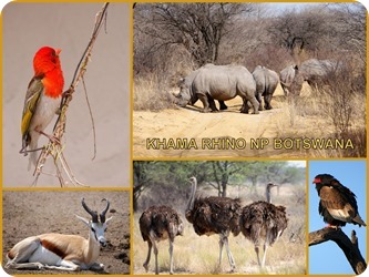 fertige bearbeitete bilder (2)