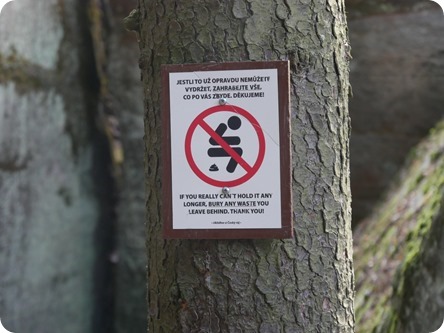 file 1440x1080_000317 file 1440x1080_000317