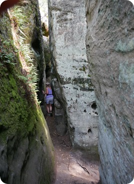 file 1440x1080_000320 file 1440x1080_000320