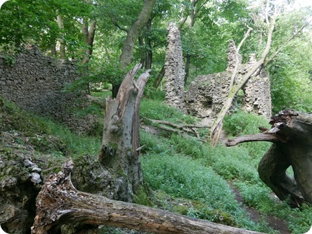 file 1440x1080_000347 file 1440x1080_000347